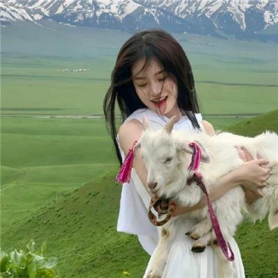 少林与武当海报